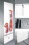 l style banner display stands